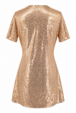 Mia Sequin Shift Dress