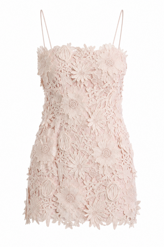 Zoe 3D Floral Lace Mini Dress